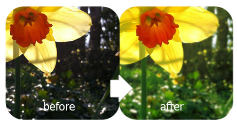 tutorial image